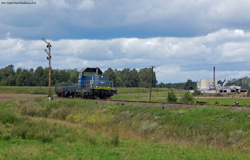 SM42-1307 z platformami