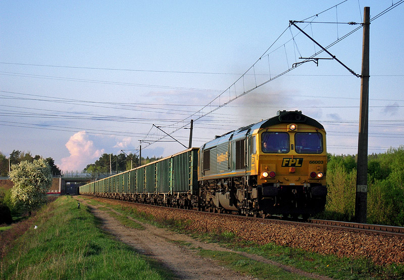 Class66003