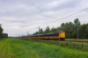 trio Koploper�w