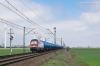 111Ed-037